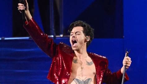 Harry Styles struck by object during Vienna concert